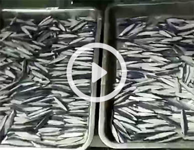 鱼形钨合金渔坠/鱼坠/Tungsten fishing sinker/tungsten fishing lure生产中